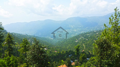 23 Kanals of prime land for sale in Patriata (New Murree) located off Main Patriata Road.