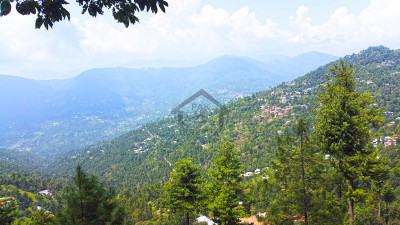 23 Kanals of prime land for sale in Patriata (New Murree) located off Main Patriata Road.