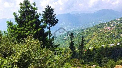 23 Kanals of prime land for sale in Patriata (New Murree) located off Main Patriata Road.
