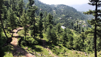 23 Kanals of prime land for sale in Patriata (New Murree) located off Main Patriata Road.