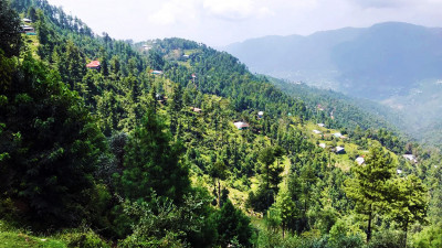 23 Kanals of prime land for sale in Patriata (New Murree) located off Main Patriata Road.