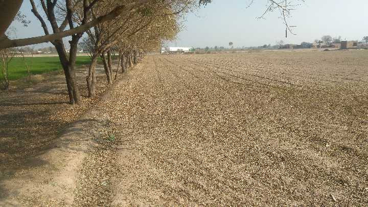 Biggest Land in Achieveable Amount