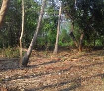 BAHRIA GREEN 75 SQ YARDS PLOTS IN EASY INSTALLMENT PLAN AVAILABLE