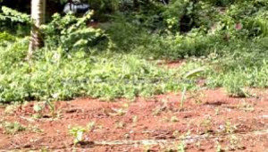 Plot Is Available For Sale In E-12/3