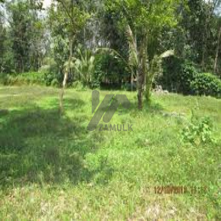 Plot For Sale In Park Enclave
