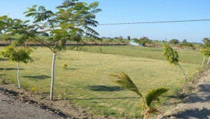 Plot Available For Sale In I-14/3