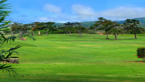 Plot for sale in I-15/2