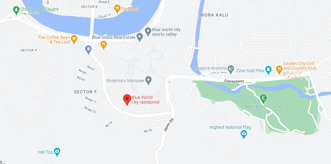 Residential Plot For Sale In Blue World City