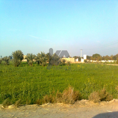 7 Acre Fully Agriculture Land For Sale For Investment Near Samundari Road