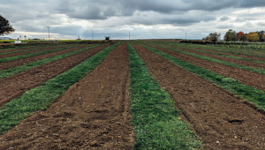 17 Acre Fully Agriculture Land For Sale For Investment Near Samundari Road