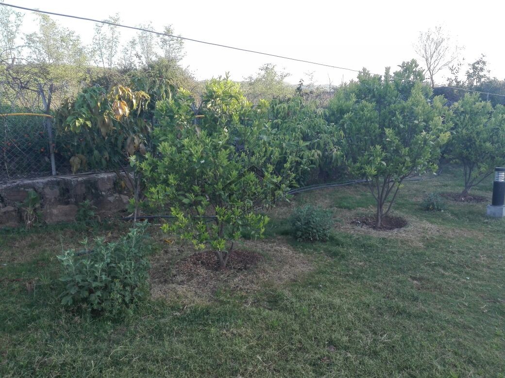 5 Kanal Beautiful Level Farm House - Pn Naval Farm House Islamabad For Sale