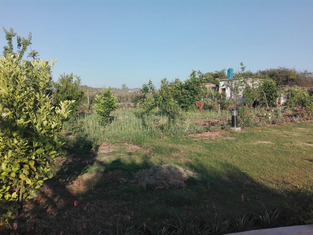5 Kanal Beautiful Level Farm House - Pn Naval Farm House Islamabad For Sale