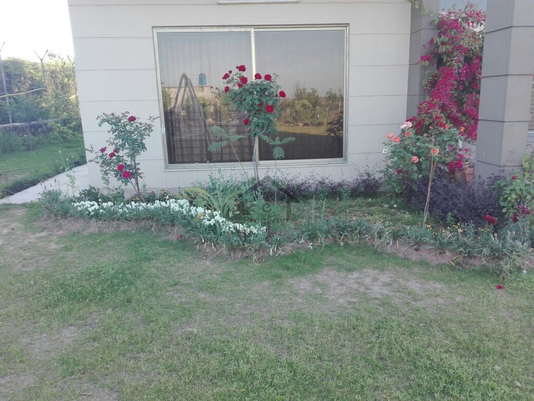 5 Kanal Beautiful Level Farm House - Pn Naval Farm House Islamabad For Sale