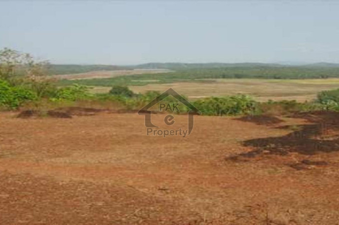 Agricultural Land Is Available For Sale