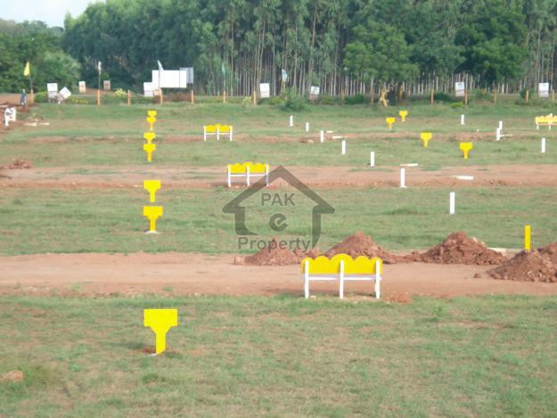 Commercial Plot Is Available For Sale