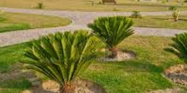 Commercial Plot Is Available For Sale