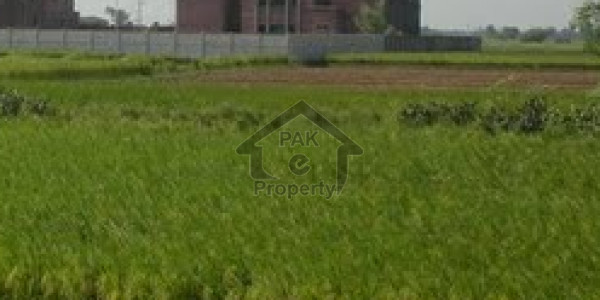 Commercial Plot Is Available For Sale