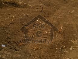 1 Kanal Affidavit File Confirm Transfer In DHA