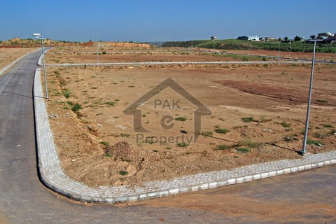 Commercial Plot Is Available For Sale