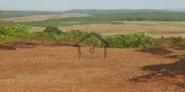 Plot Is Available For Sale