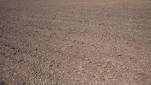 Plot For Sale In Jubilee Town - Block C