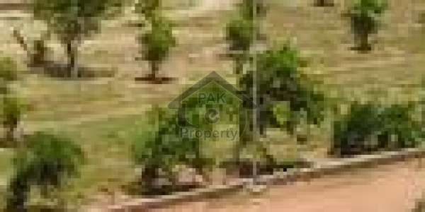 Plot File Is Available For Sale