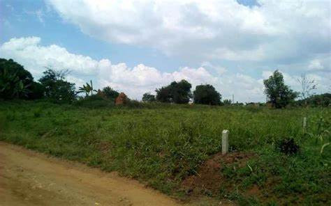 Plot For Sale In LDA Avenue - Block D