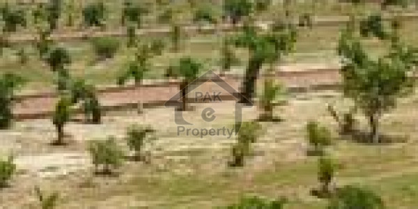 Plot File Is Available For Sale