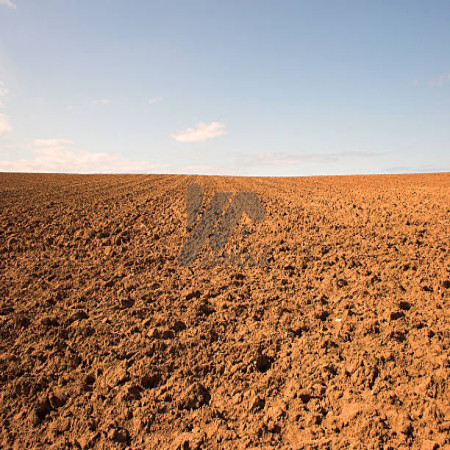 Plot For Sale In Shalimar Town