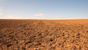 Plot For Sale In Shalimar Town