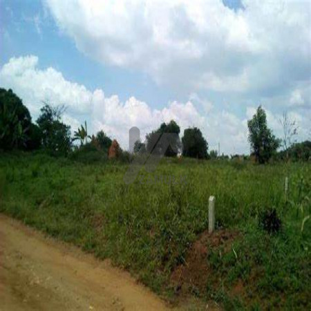 Plot For Sale In DHA Phase 6