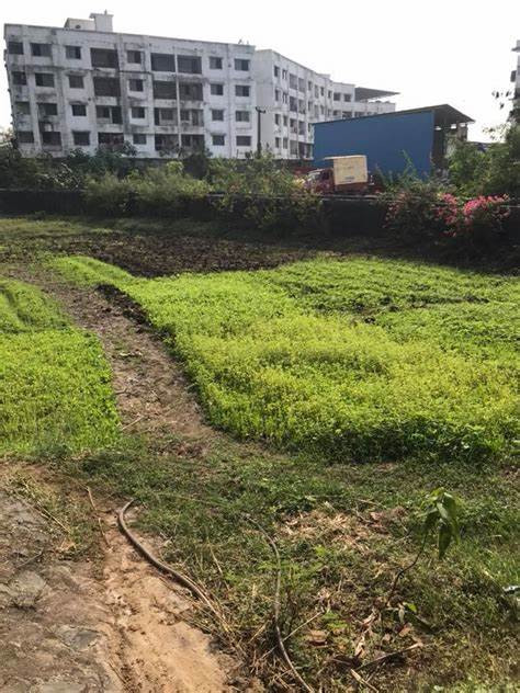 Plot For Sale In MPCHS - Block F