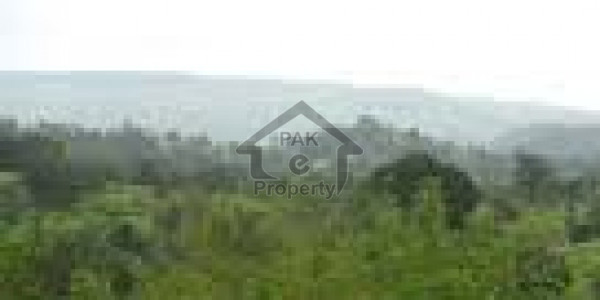 Commercial Plot Is Available For Sale