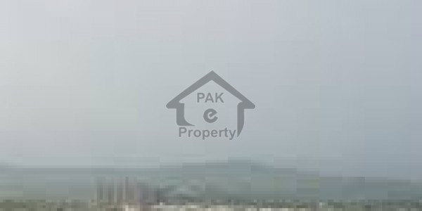 Commercial Factory For Sale