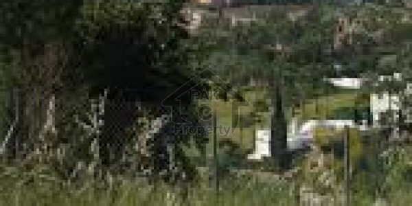 Industrial Land For Sale