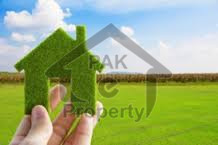 Industrial Land For Sale