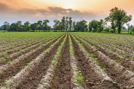 14 Marla Plot For Sale In Bahria Enclave - Sector G
