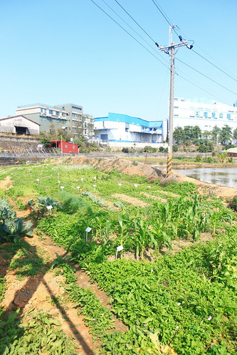 1 Kanal Plot For Sale In FDA City - Block C5