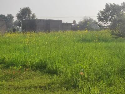 1 Kanal Plot For Sale In FDA City - Block C5