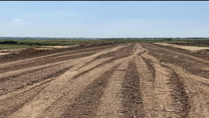 i-12/3 50ft road 5marla Plot available for Sale