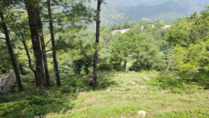 10 kanal farmhouse Plot For Sale In Khariyan Road 80 foot front.