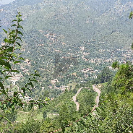 10 kanal farmhouse Plot For Sale In  Khariyan Road 80 foot front.