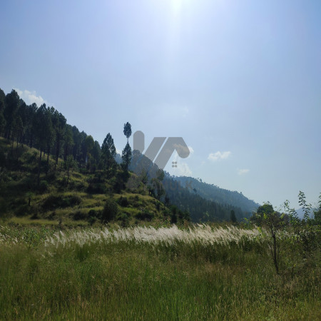 2 kanal farmhouse Plot For Sale In Khariyan Road 25 foot front.