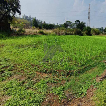 25 kanal farmhouse Plot For Sale In Khariyan Road 200 foot front.