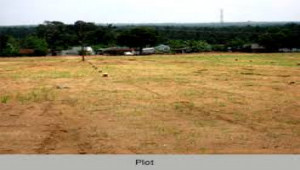 10 Marla Plot For Sale In Zaraj Housing Scheme