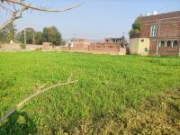 10 Marla Plot For Sale In Wapda Town Phase 1 - Block F2