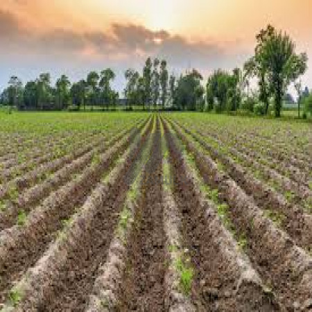 1 Kanal Plot For Sale In DHA Phase 8 - Block Z6