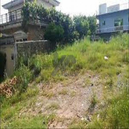 7 Marla Plot File For Sale In Zaitoon City
