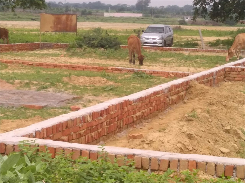 1 Kanal Plot For Sale In Inmol Employees Society - Block E