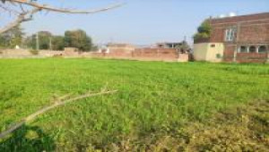 1 Kanal Plot For Sale In C-16